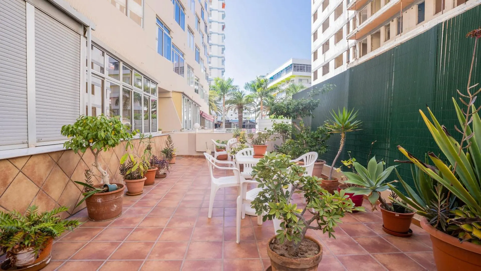 Nicalex Apartment Puerto de la Cruz  0*, Puerto de la Cruz (Tenerife)